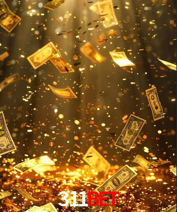 Experiência VIP 311bet
