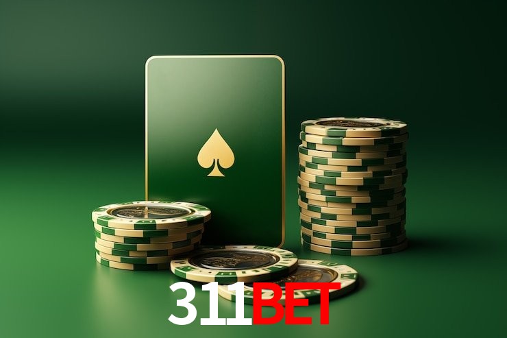 VIP Casino 311bet